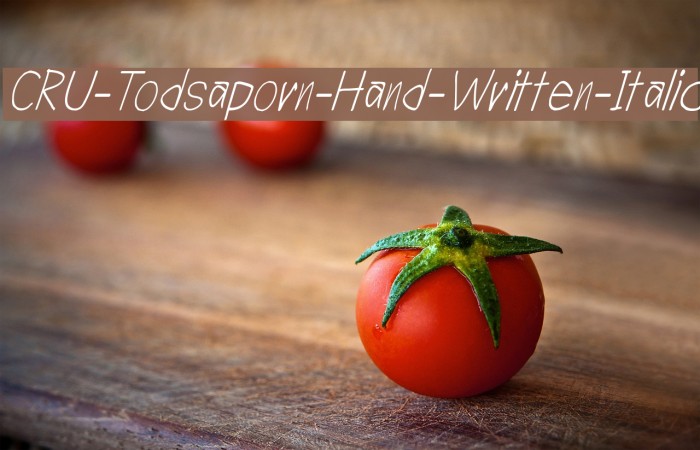 CRU-Todsaporn-Hand-Written-Italic Font examples