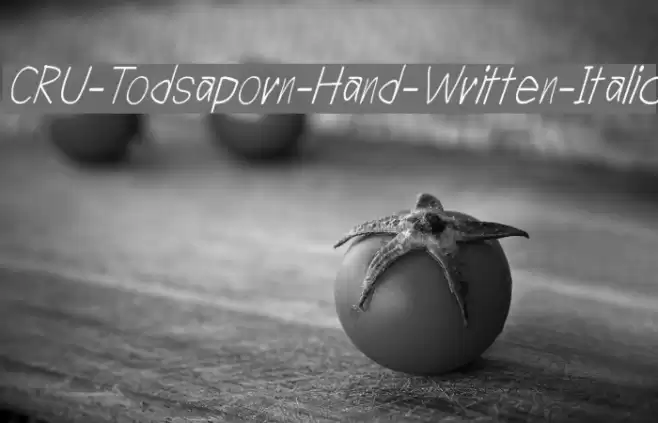 CRU-Todsaporn-Hand-Written-Italic Polices examples