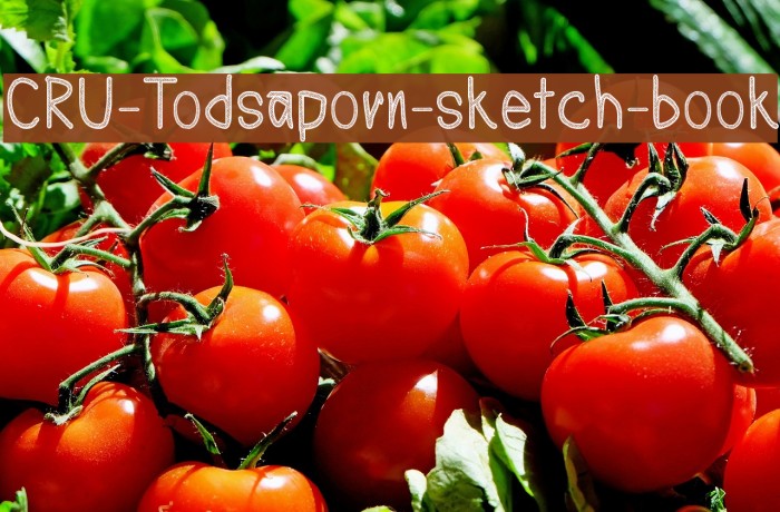 CRU-Todsaporn-sketch-book Font examples