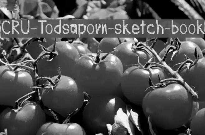 CRU-Todsaporn-sketch-book Font examples
