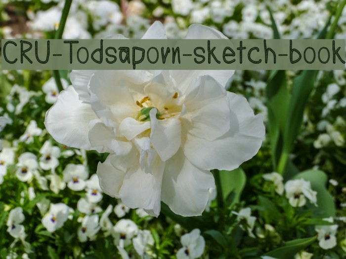 CRU-Todsaporn-sketch-book Font examples