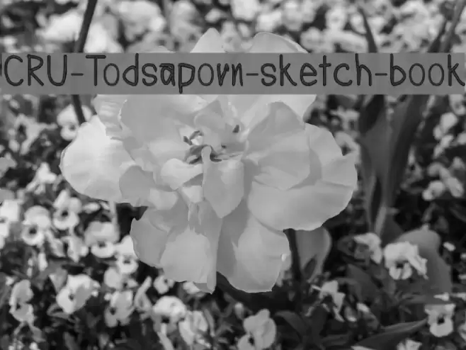 CRU-Todsaporn-sketch-book Font examples