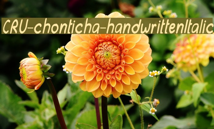 CRU-chonticha-handwrittenItalic Font examples
