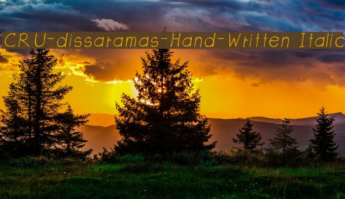 CRU-dissaramas-Hand-Written Italic Font examples