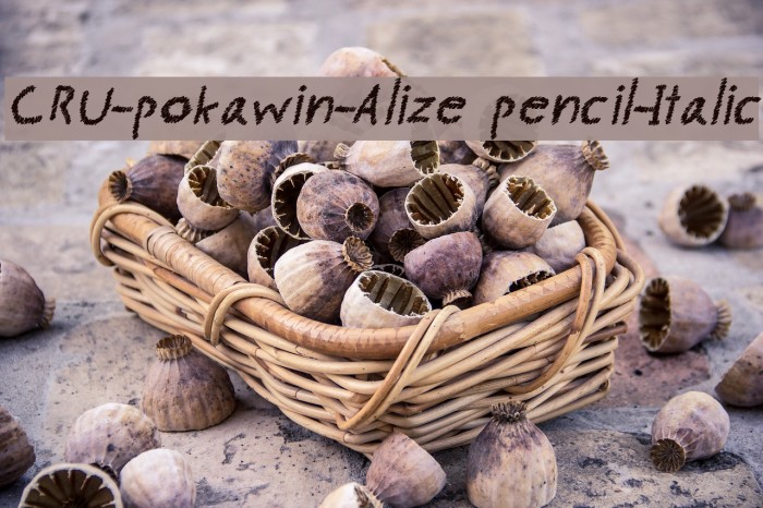 CRU-pokawin-Alize pencil-Italic Font examples