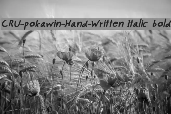 CRU-pokawin-Hand-Written Italic bold Font examples