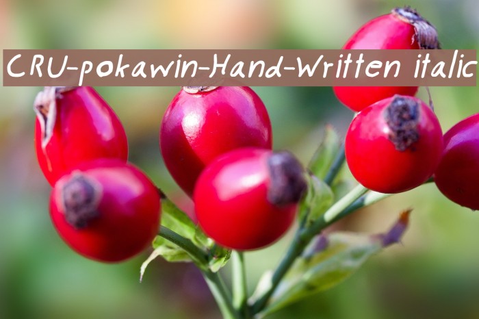 CRU-pokawin-Hand-Written italic Font examples