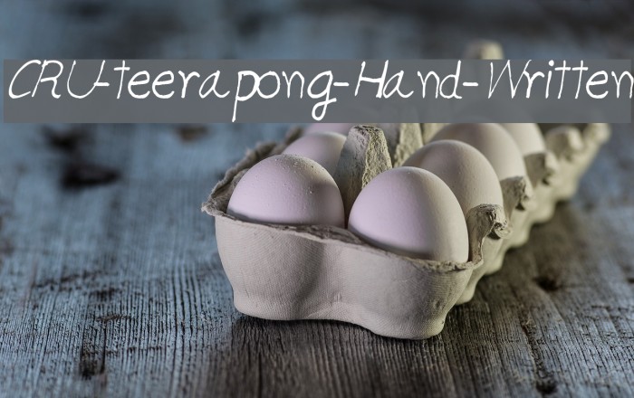 CRU-teerapong-Hand-Written Example 1