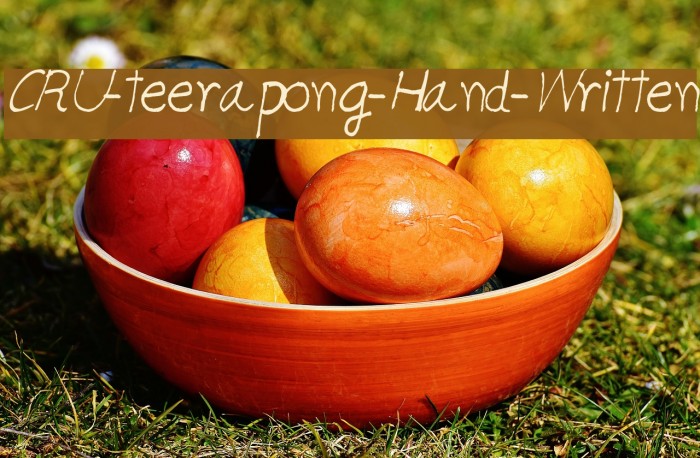 CRU-teerapong-Hand-Written Example 2