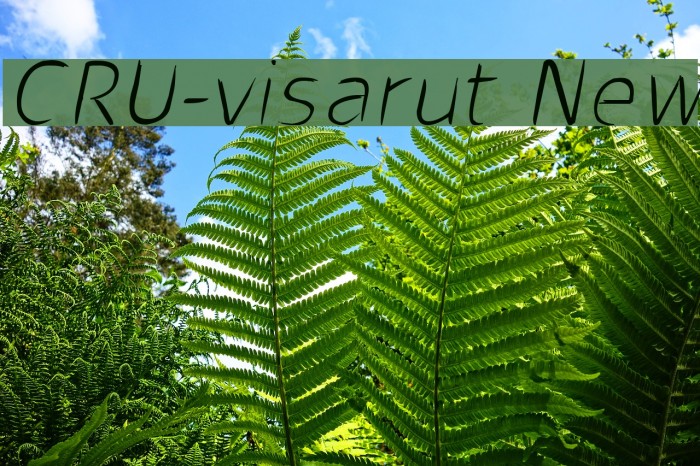 CRU-visarut New Font examples