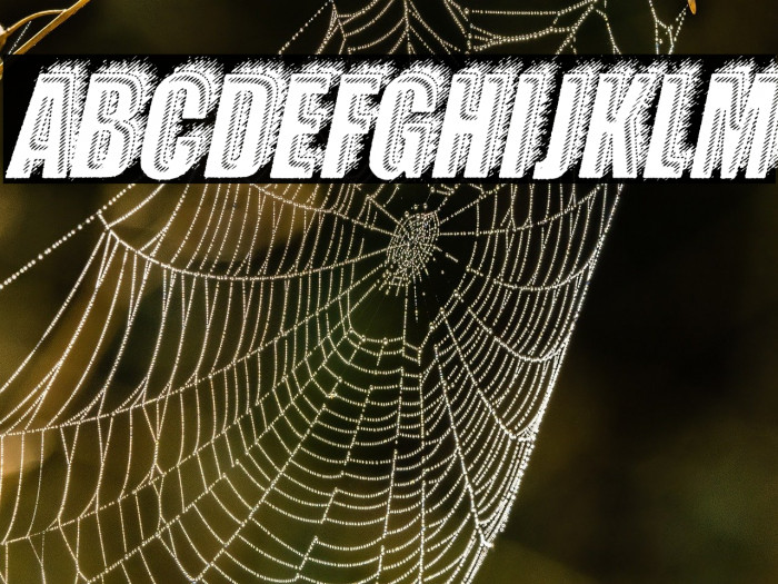 CRUMB ITALIC PERSONAL USE Bold Italic Example 3