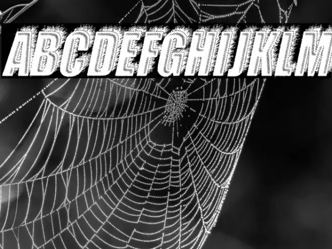 CRUMB ITALIC PERSONAL USE Bold Italic Font examples