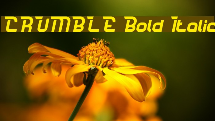 CRUMBLE Bold Italic Example 2