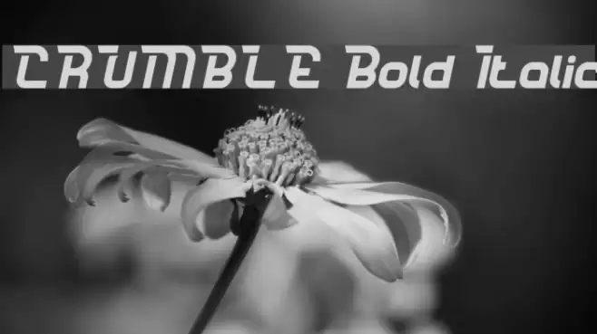 CRUMBLE Bold Italic Font examples