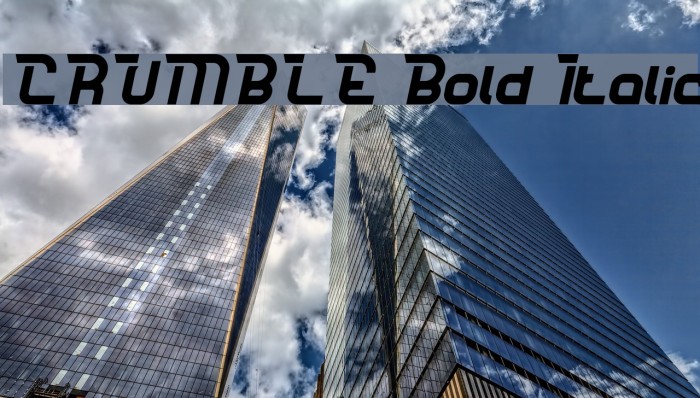 CRUMBLE Bold Italic Example 3