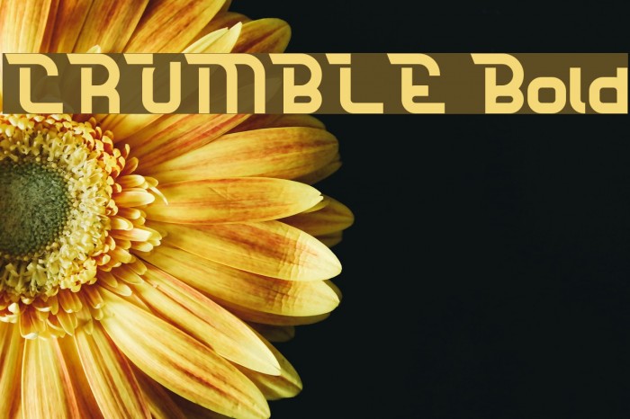CRUMBLE Bold Example 1