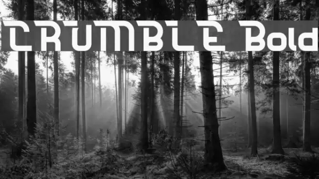CRUMBLE Bold Font examples