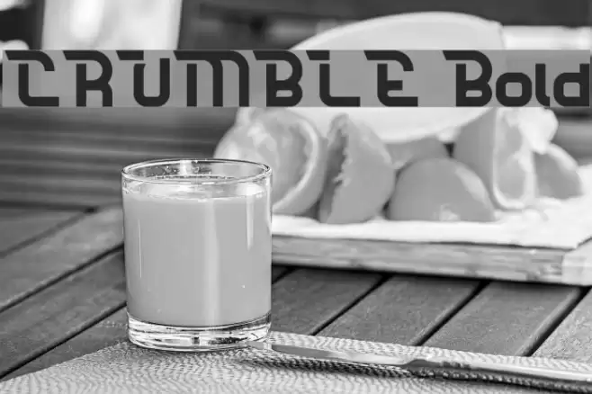 CRUMBLE Bold Font examples