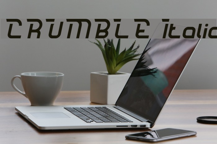 CRUMBLE Italic Font examples