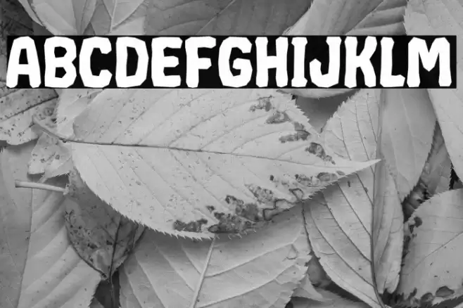 CRUMPLED Font examples