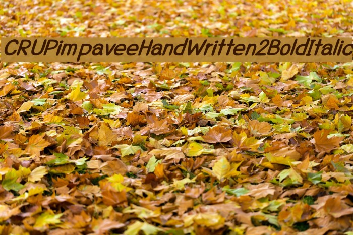 CRUPimpaveeHandWritten2BoldItalic Font examples