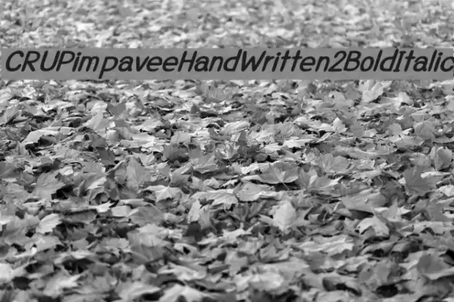 CRUPimpaveeHandWritten2BoldItalic フォント examples