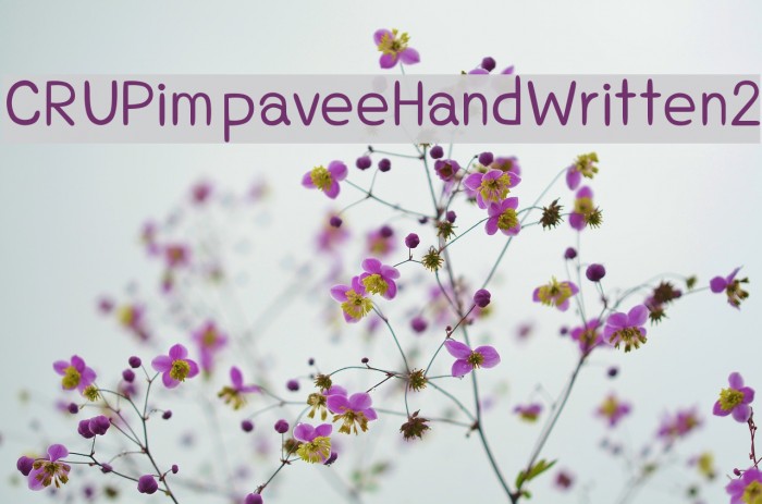 CRUPimpaveeHandWritten2 Font examples