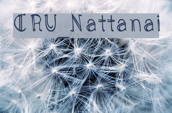 CRU_Nattanai Font examples