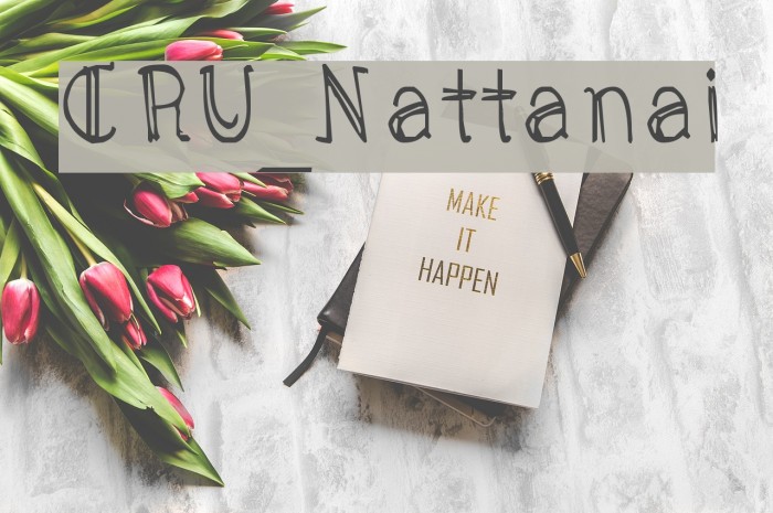 CRU_Nattanai Font examples