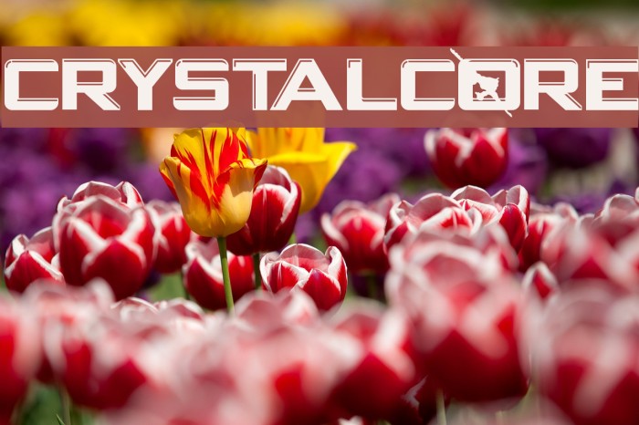 CRYSTALCORE Font examples