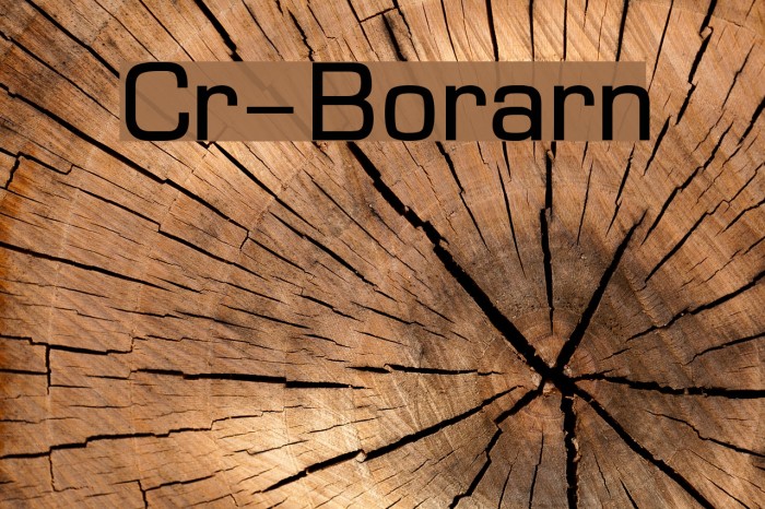 Cr-Borarn Font examples