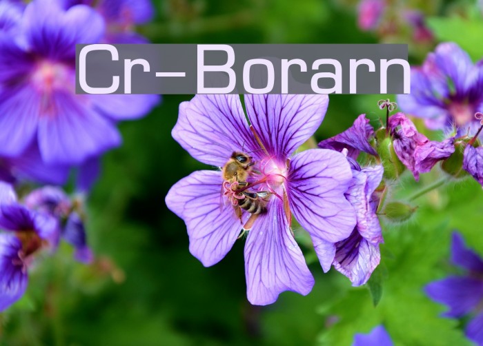 Cr-Borarn Font examples