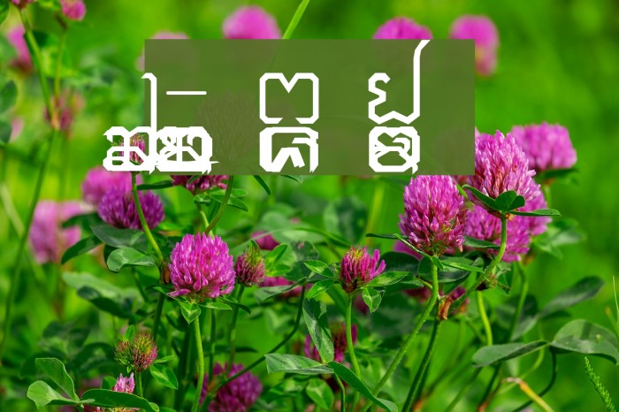 Cr-Maekok by Berm Example 1