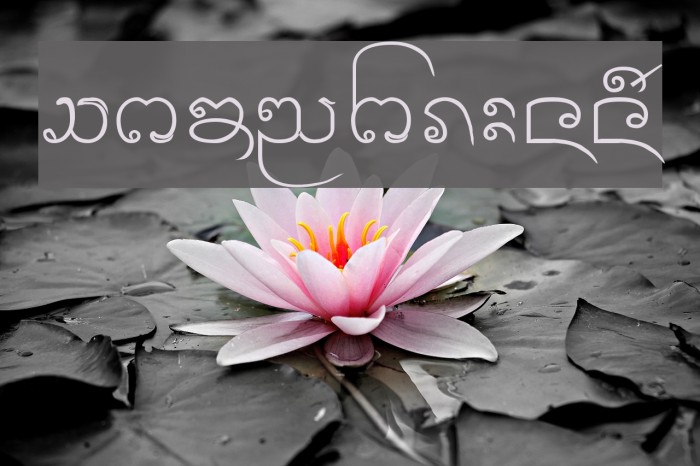 Cr-Paitoon Example 1