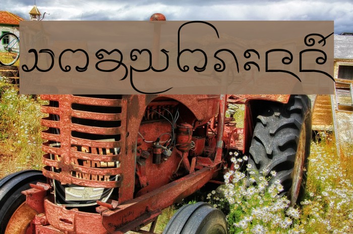 Cr-Paitoon Example 3