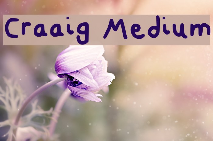 Craaig Medium Example 2