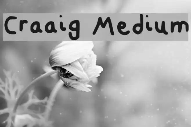 Craaig Medium Font examples