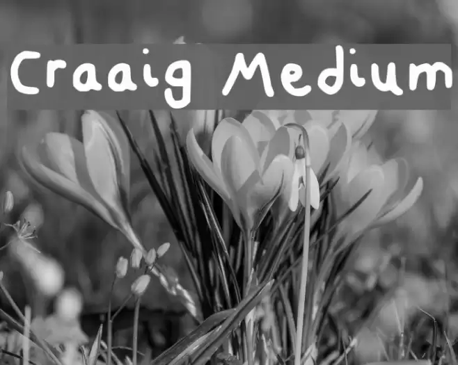 Craaig Medium Font examples