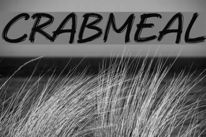 Crabmeal Шрифта examples
