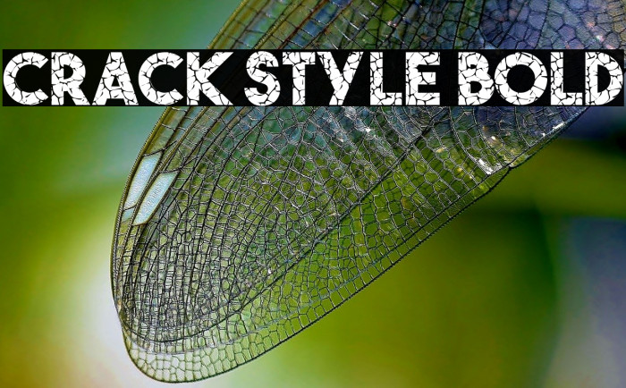 Crack Style Bold フォント examples