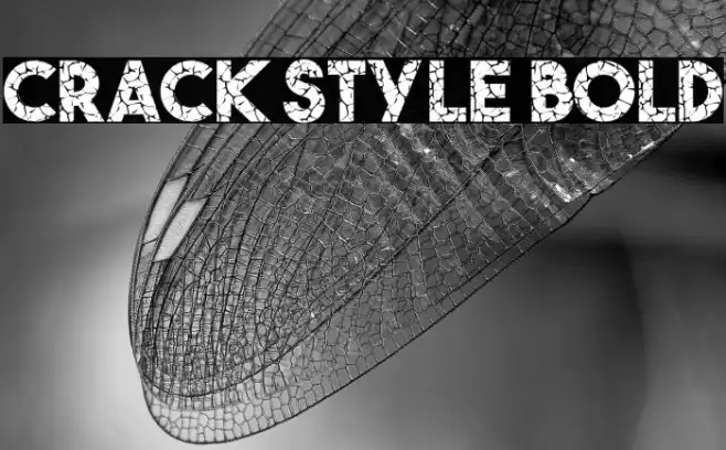 Crack Style Bold Fuentes examples