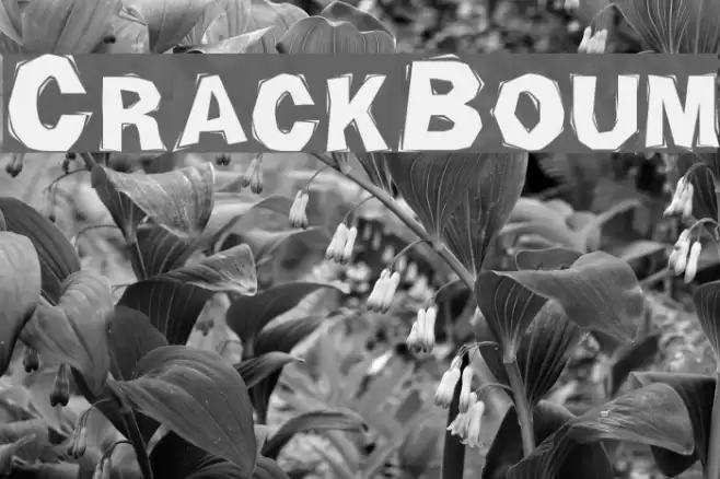 CrackBoum フォント examples