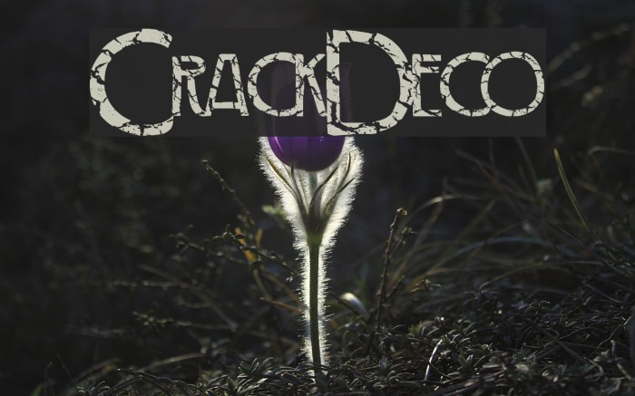 CrackDeco لخطوط تنزيل examples