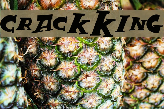 CrackKing Font examples