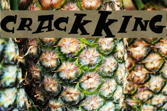CrackKing Example 2