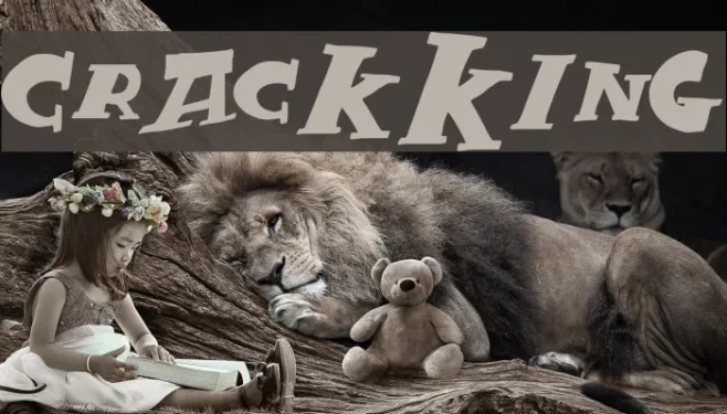 CrackKing Example 3