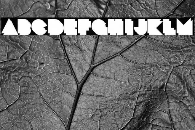 CrackManBack-Regular Font examples