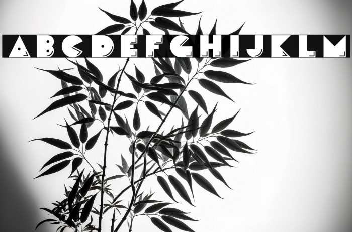 CrackManFront-Regular Example 2