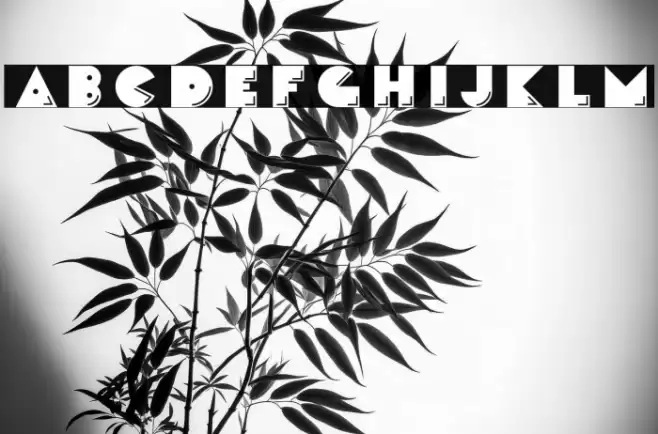 CrackManFront-Regular Font examples