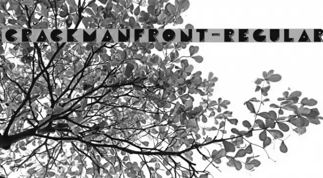 CrackManFront-Regular Font examples